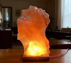 Horse Carved Himalayan Salt Lamp | Pakistan Decor